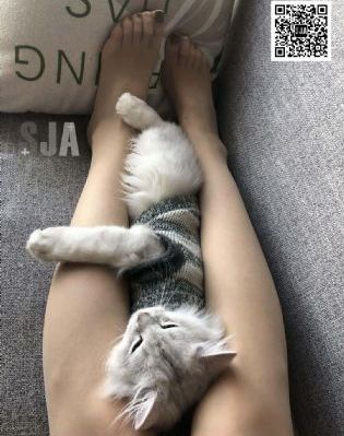 一个人看的视频www_日本电影视频网址大全