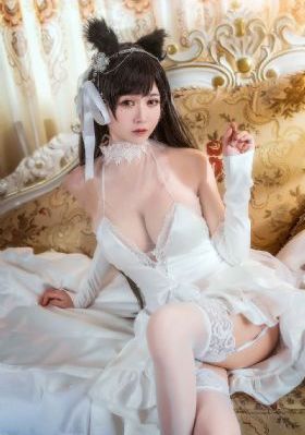 赌命为王_DVD完整在线观看